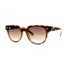 RAY-BAN 4368N KADIN GÜNEŞ GÖZLÜĞÜ | RAY BAN