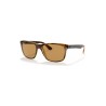 RAY-BAN 4181 UNİSEX GÜNEŞ GÖZLÜĞÜ | RAY BAN