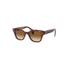 RAY-BAN 0880S KADIN GÜNEŞ GÖZLÜĞÜ | RAY BAN