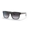 EMPORIO ARMANI 4163 ERKEK GÜNEŞ GÖZLÜĞÜ | EMPORIO ARMANI