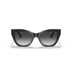 EMPORIO ARMANI 4176 KADIN GÜNEŞ GÖZLÜĞÜ | EMPORIO ARMANI