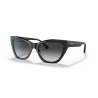 EMPORIO ARMANI 4176 KADIN GÜNEŞ GÖZLÜĞÜ | EMPORIO ARMANI